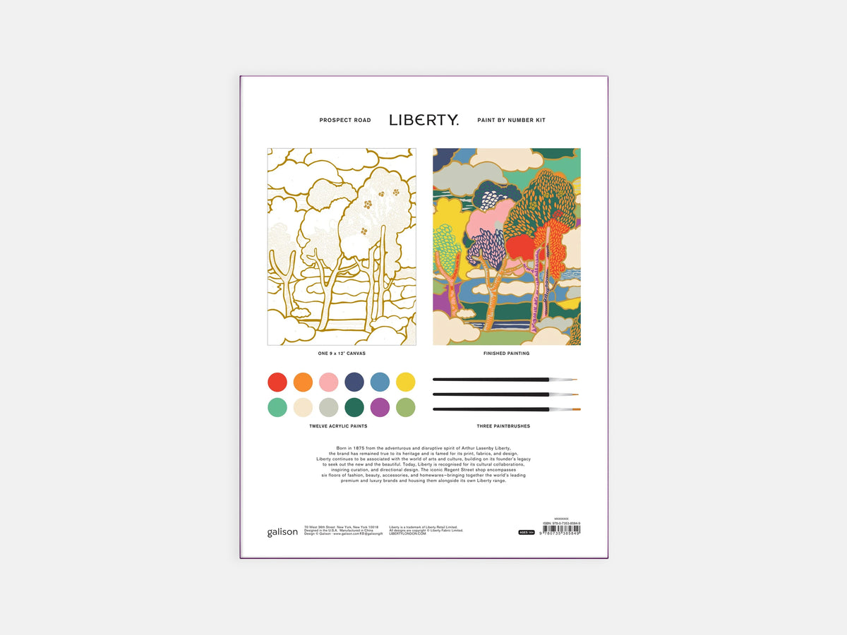 Liberty Prospect Road 9 x 12 Paint by Number Kit