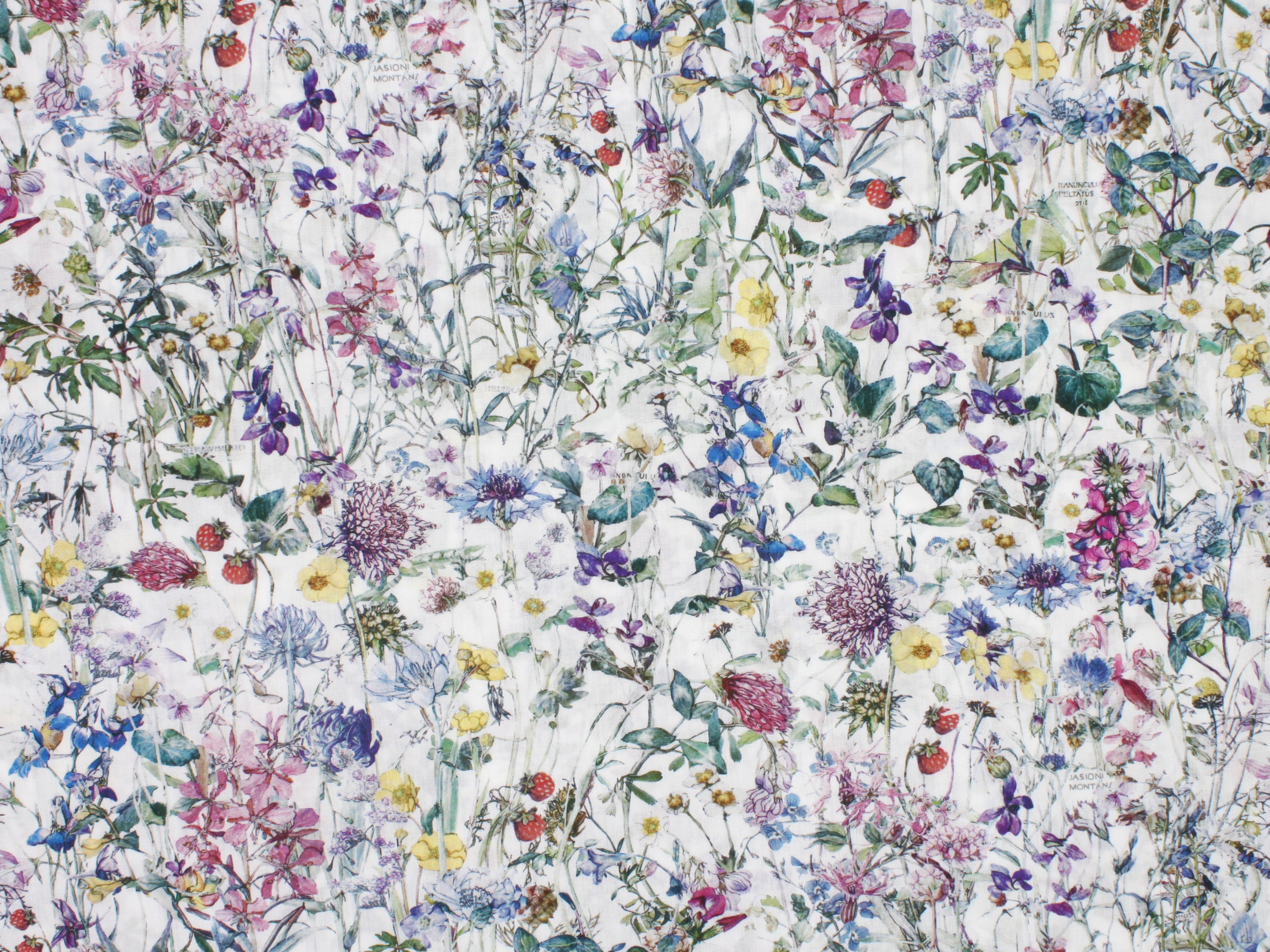 Wild Flowers A Liberty London Tana Lawn Cotton Fabric | Holme & Moss Fabric Shop