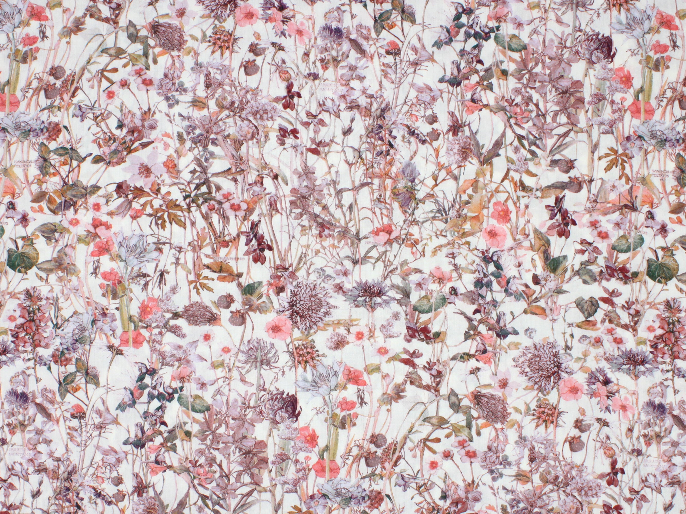 Liberty Fabrics - Wild Flowers F Tana Lawn™ Cotton | Holme & Moss