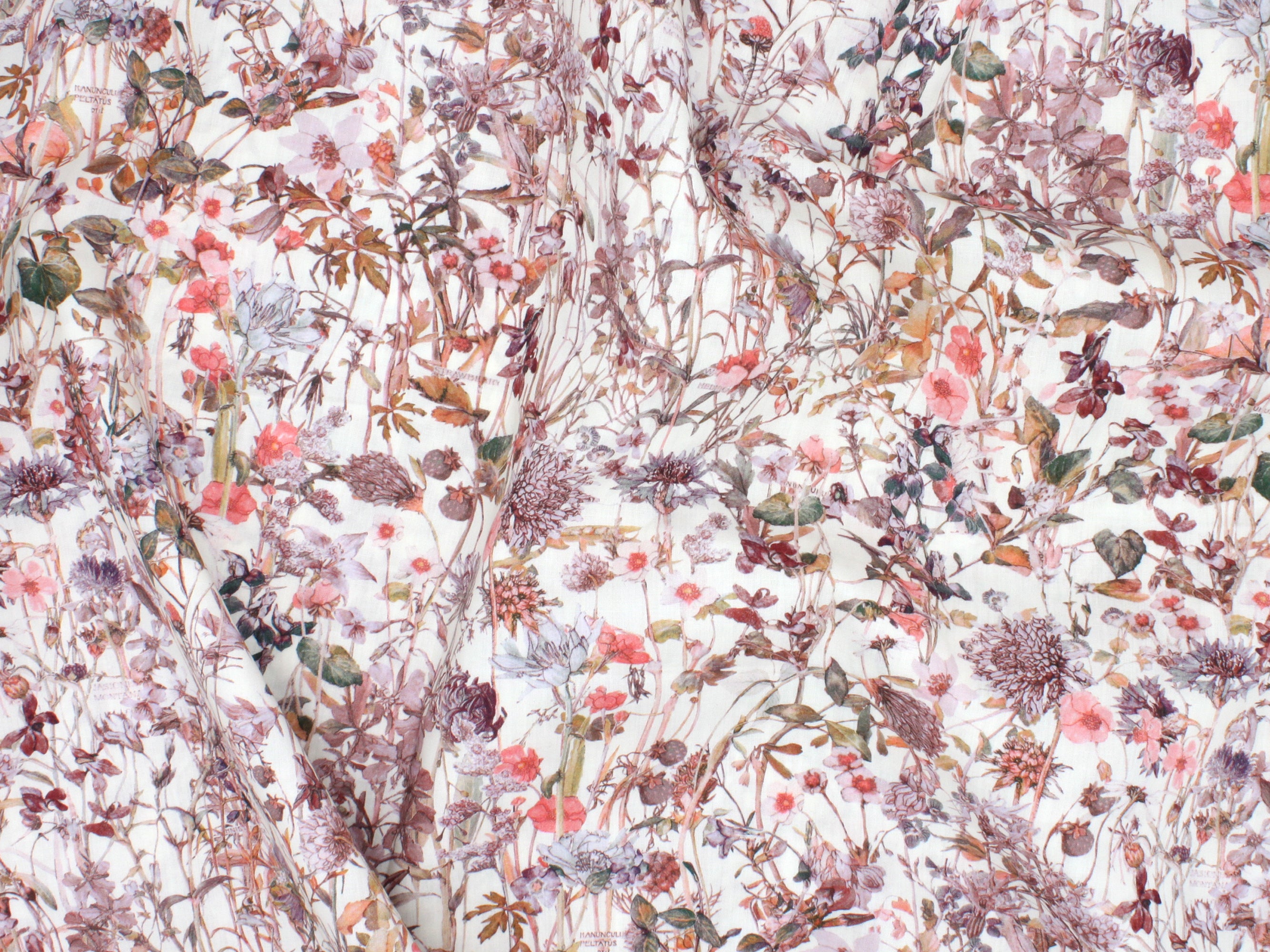 Liberty Fabrics - Wild Flowers F Tana Lawn™ Cotton | Holme & Moss