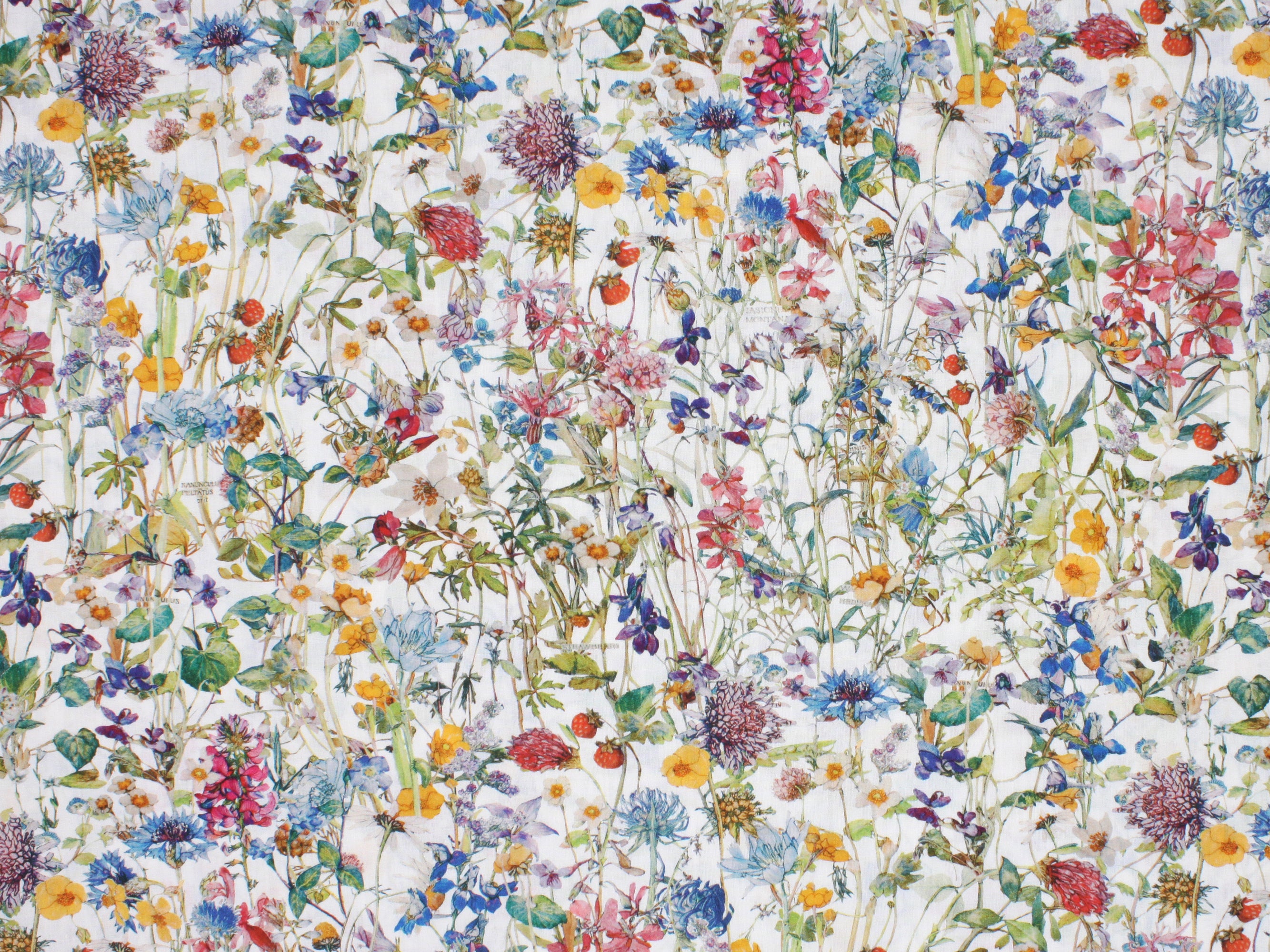 Wild Flowers H Liberty London Tana Lawn Cotton Fabric | Holme & Moss Fabric Shop