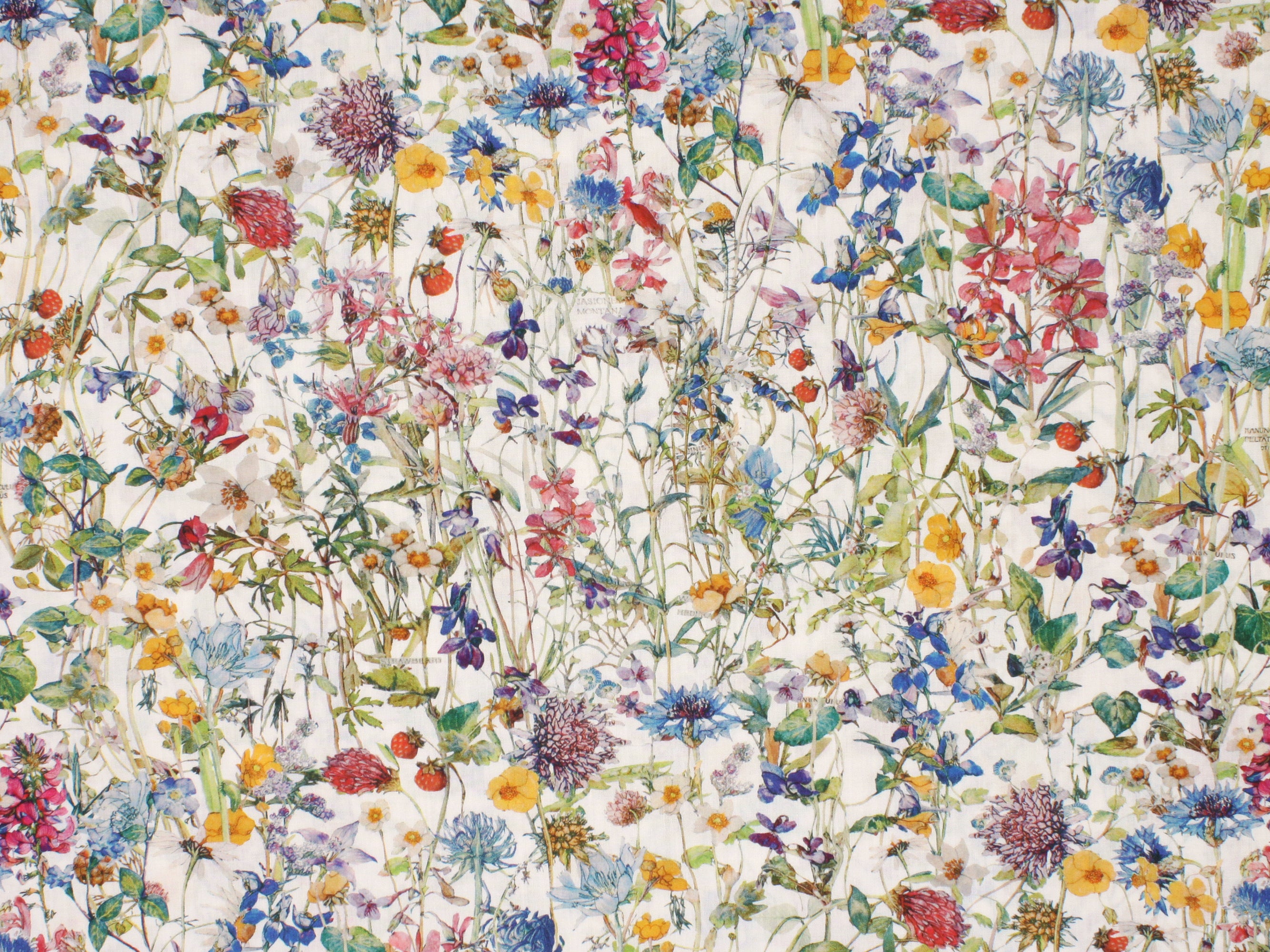 Liberty Fabrics - Wild Flowers H Tana Lawn™ Cotton | Holme & Moss